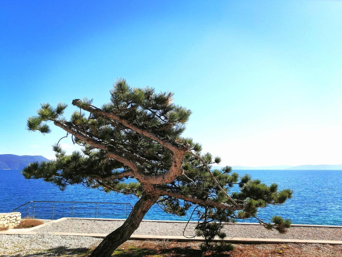 Studio Apartment Michelle - Intermezzo With Sea View Rabac Kültér fotó
